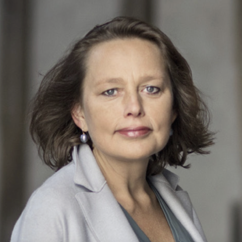 Prof. dr. Birgitta Velthuis